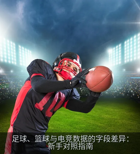 无品牌多项目比赛统计字段对照表的编辑插图